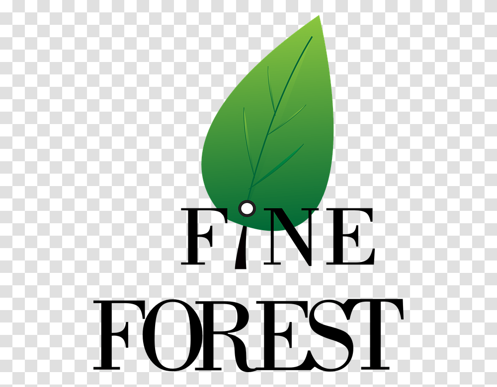 Logo Forest Symbol Design Nature Sign Icon Poster, Leaf, Plant, Droplet, Green Transparent Png