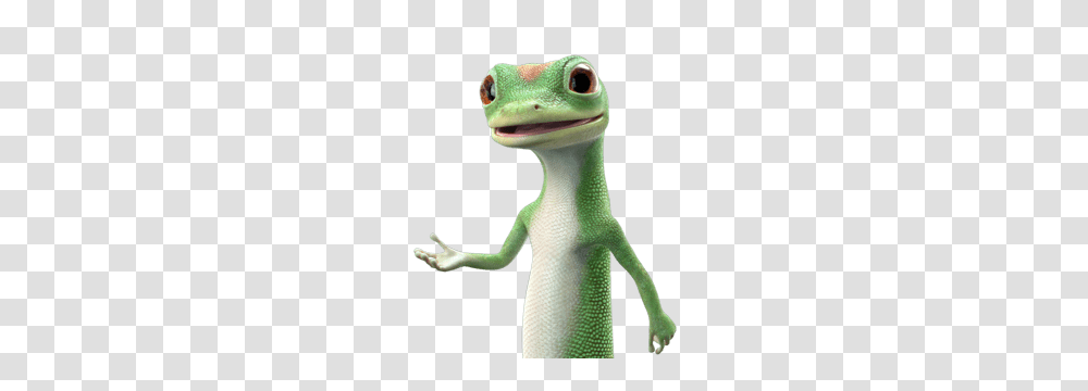 Logo, Gecko, Lizard, Reptile Transparent Png