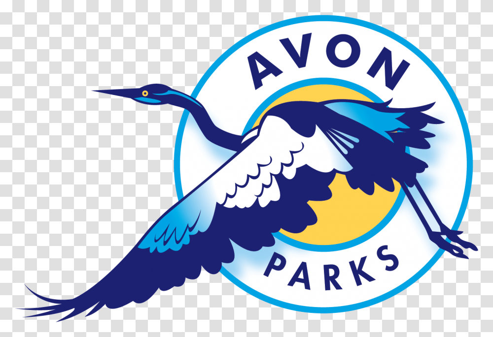 Logo Graphic Design, Jay, Bird, Animal, Blue Jay Transparent Png