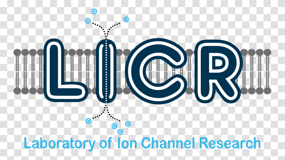 Logo Graphic Design, Word, Urban Transparent Png