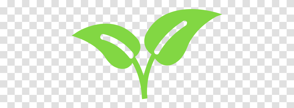 Logo Graphics Flower Plant Stem Plant Icon Green, Tennis Ball, Sport, Sports, Produce Transparent Png