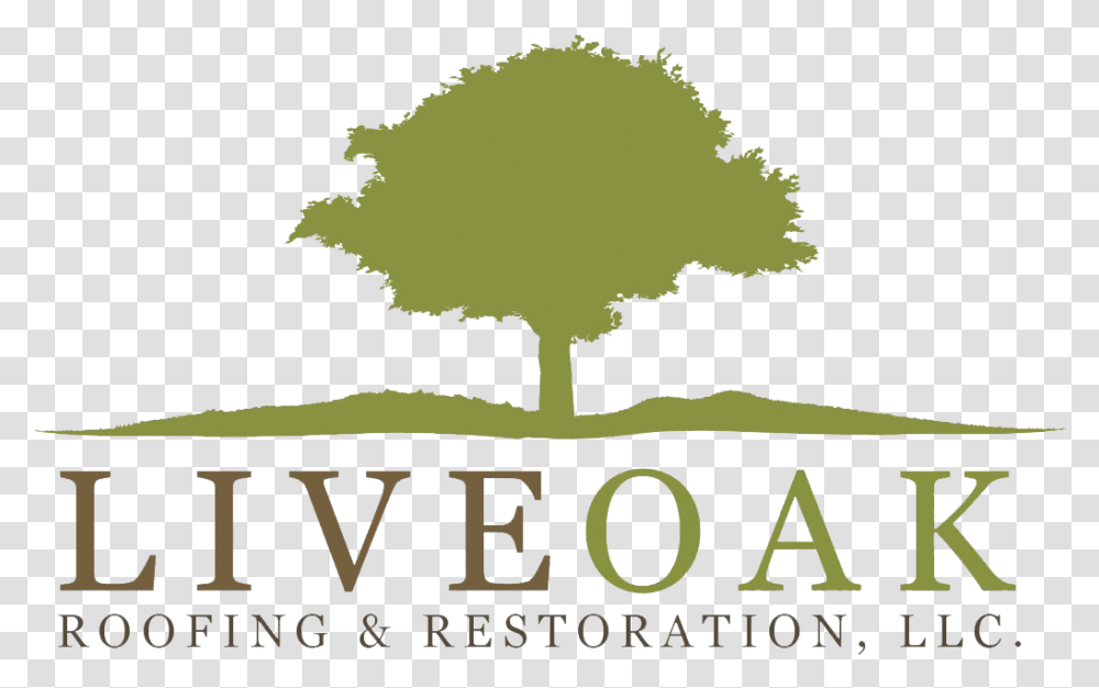Logo Hellyer, Vegetation, Plant, Tree Transparent Png
