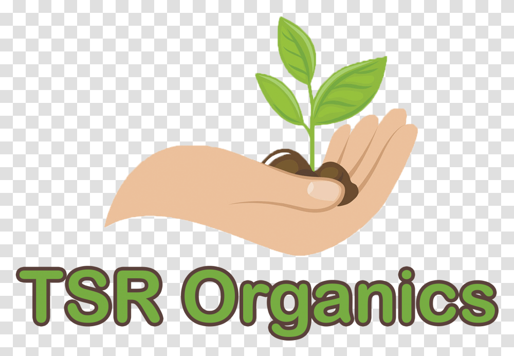 Logo Illustration, Plant, Label, Vegetation Transparent Png