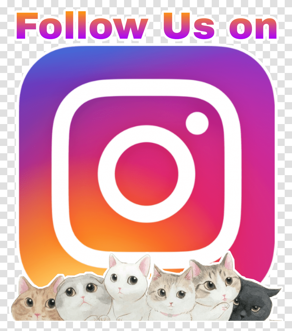 Logo Instagram Follow Logoinstagram Cat Wallpaper, Pet, Mammal, Animal, Text Transparent Png