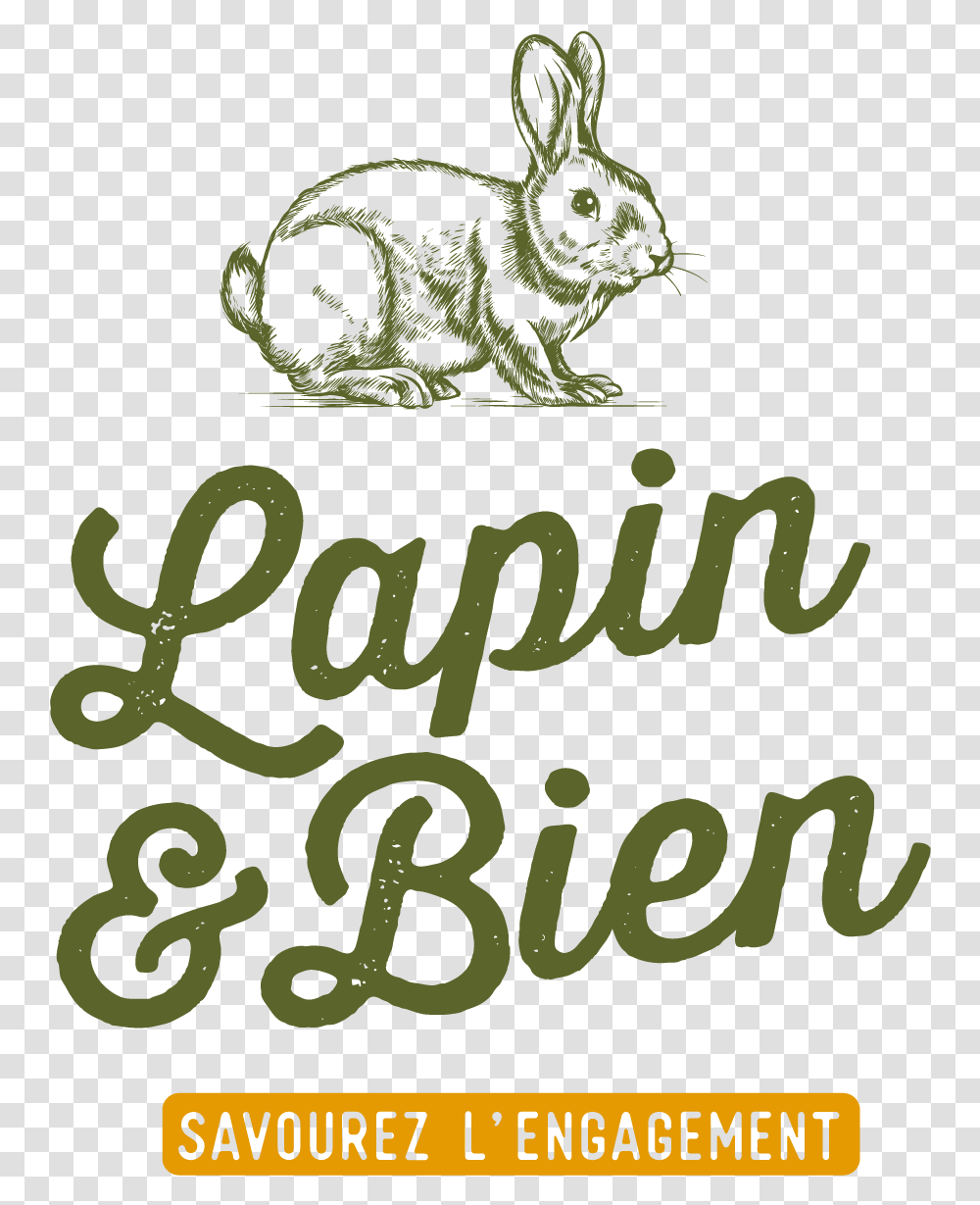 Logo Lapinetbien Def Plan De Travail 1 Domestic Rabbit, Alphabet, Poster, Label Transparent Png