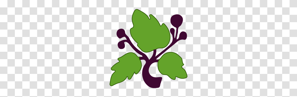 Logo Leaf Vector, Plant, Fruit, Food, Radish Transparent Png