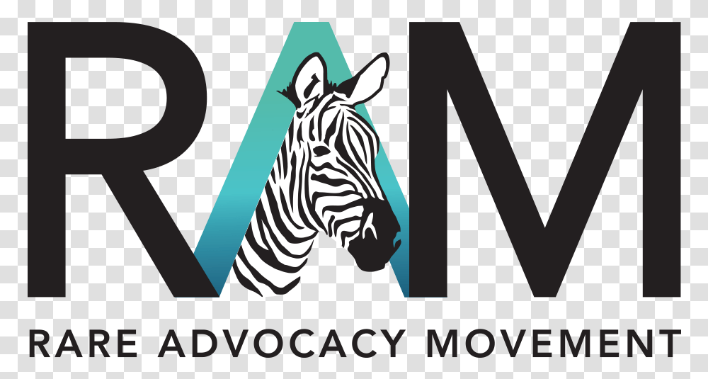 Logo No Background Zebra, Mammal, Animal, Wildlife, Label Transparent Png