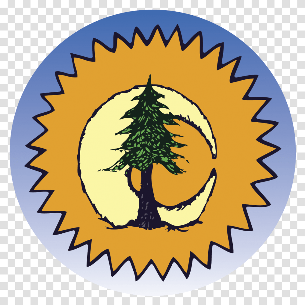 Logo No Hot Ashes, Tree, Plant, Conifer, Outdoors Transparent Png