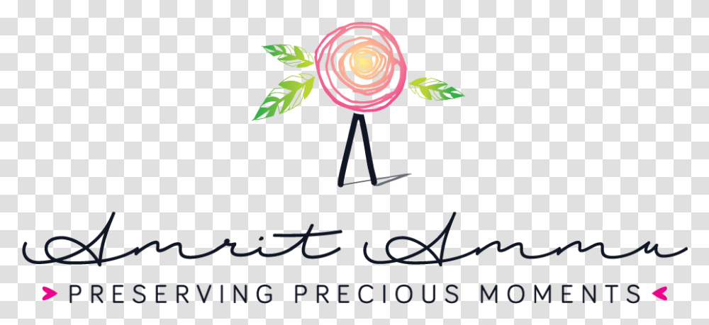 Logo Of Amrit Photography, Sphere, Plant, Tree Transparent Png