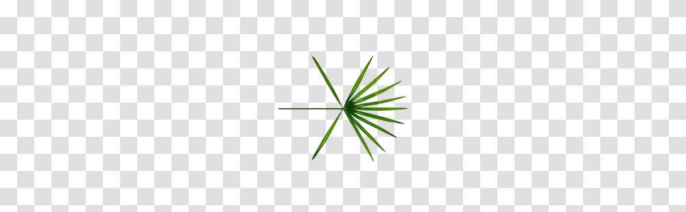 Logo On Asian Pngs, Green, Plant, Outdoors, Accessories Transparent Png