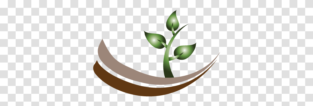 Logo Online Tree Template Company, Green, Plant, Sprout, Produce Transparent Png