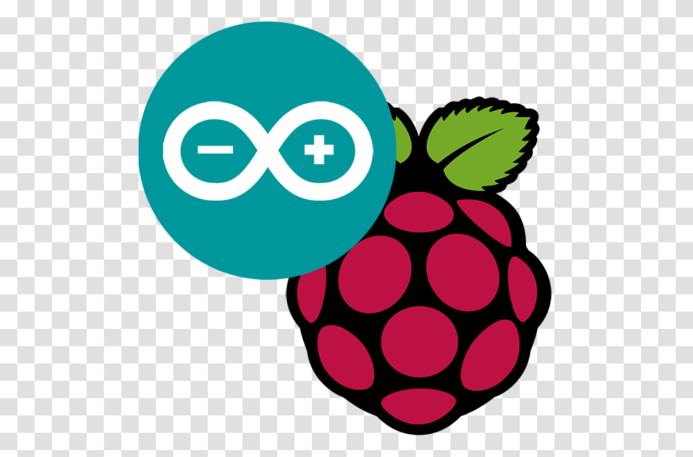 Logo Raspberry Pi Raspberry Pi, Plant Transparent Png