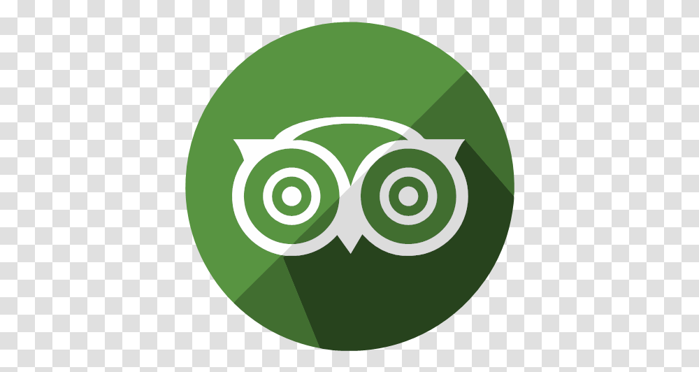 Logo Seo Share Tripadvisor Web Icon Location, Tennis Ball, Sport, Sports, Symbol Transparent Png