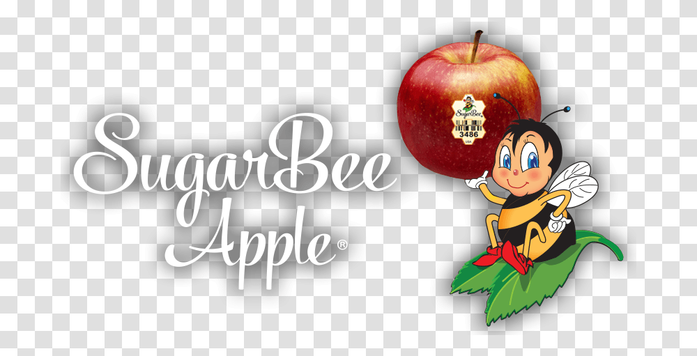 Logo Sugarbeeplu Sugarbee Apples Mcintosh, Plant, Fruit, Food, Wasp Transparent Png