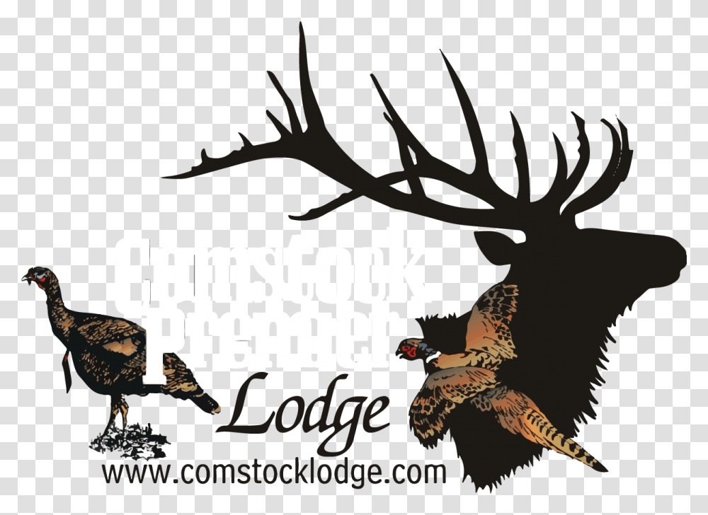 Logo Turkey, Bird, Animal, Mammal, Antler Transparent Png