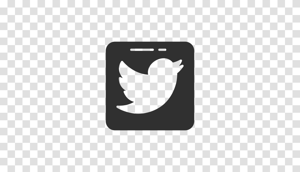 Logo Twitter Bird Twitter Logo Icon, Cat, Pet, Mammal, Animal Transparent Png