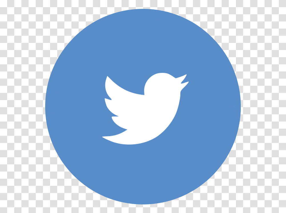Logo Twitter Bulat Clipart Background Twitter Logo, Bird, Animal, Moon, Eagle Transparent Png