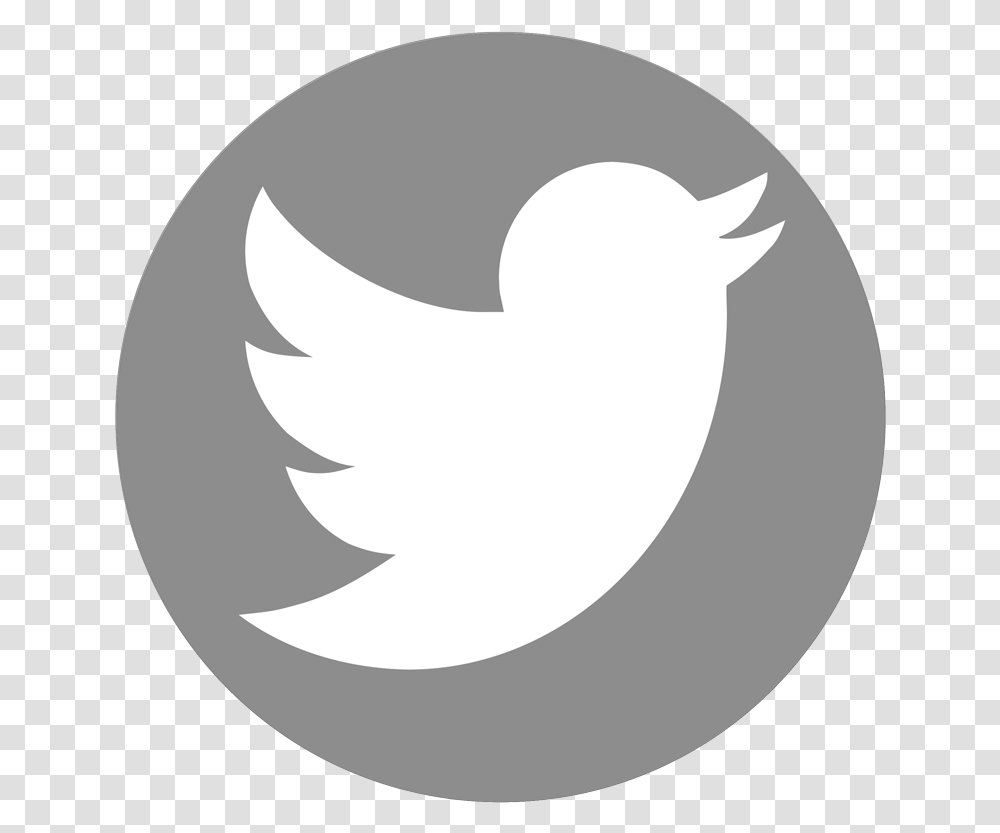 Logo Twitter Circle Grey Current Twitter Logo, Outdoors, Face Transparent Png