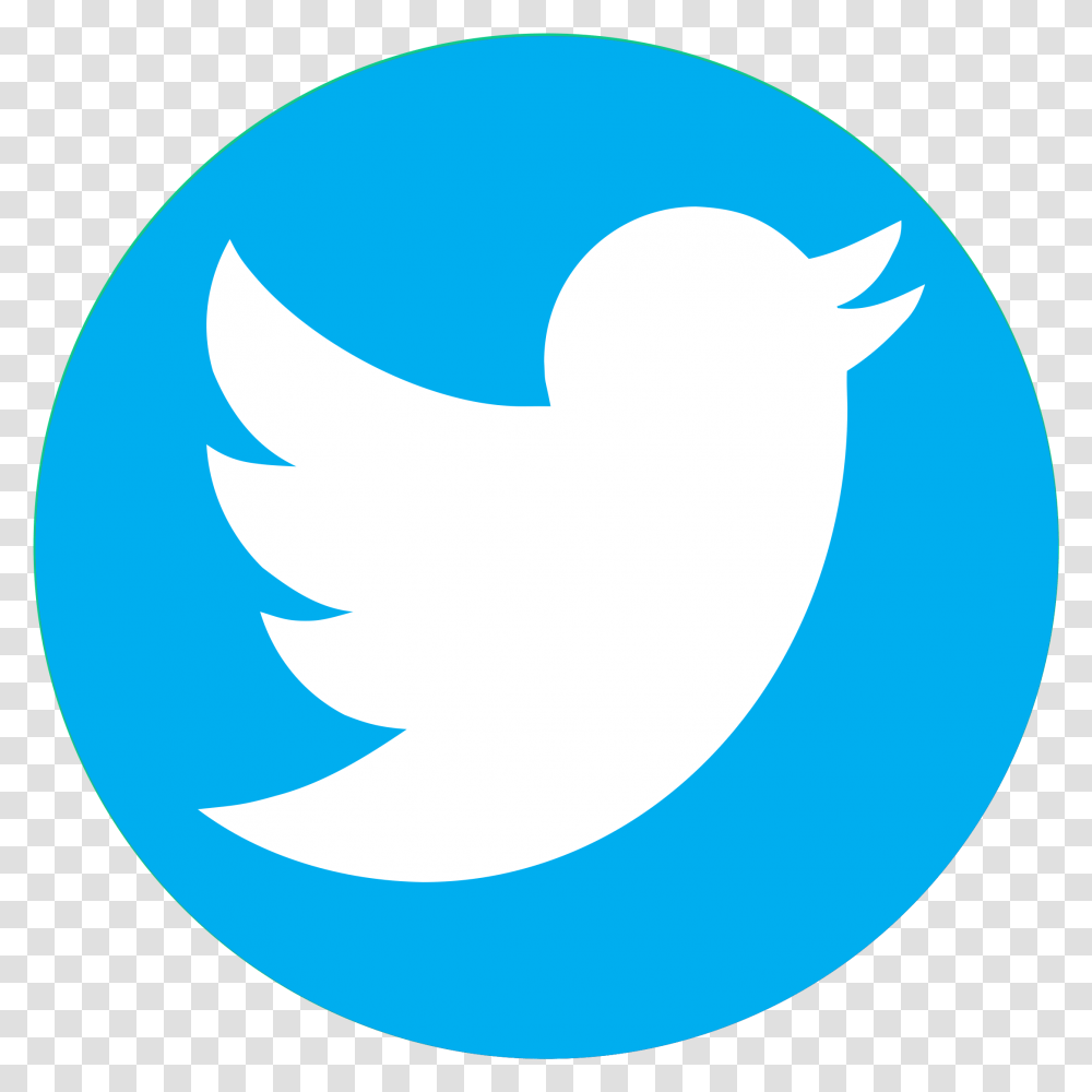 Logo Twitter Circle Logo Twitter Transparente, Symbol, Trademark, Shark, Sea Life Transparent Png