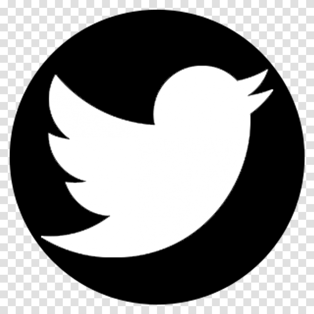 Logo Twitter Computer Icons Hd Image Twitter Logo White, Silhouette, Shark, Sea Life, Fish Transparent Png