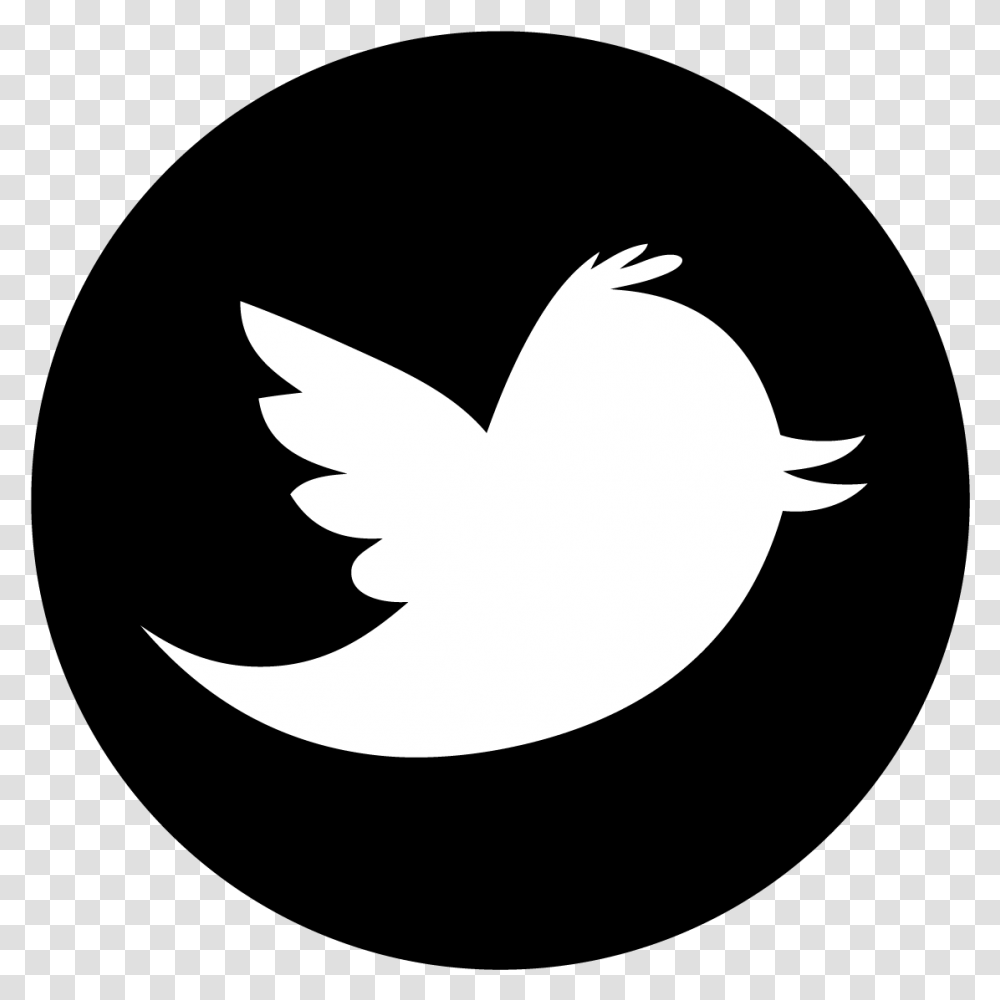 Logo Twitter Noir Twitter Logo Vector Circle, Stencil, Shark, Sea Life, Fish Transparent Png