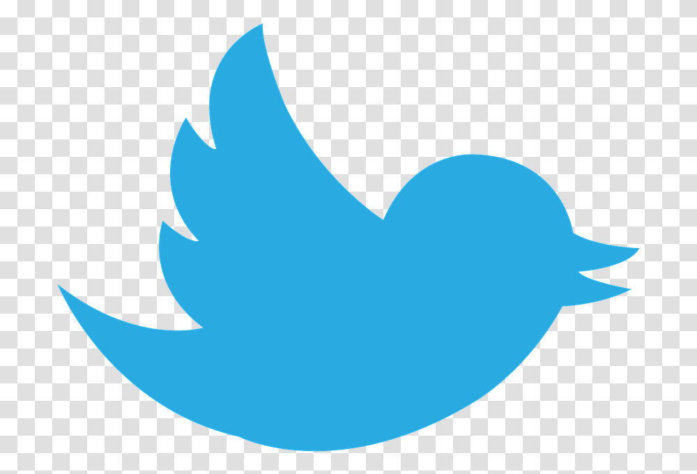 Logo Twitter Social Media Logo De Twitter En, Shark, Sea Life, Fish, Animal Transparent Png