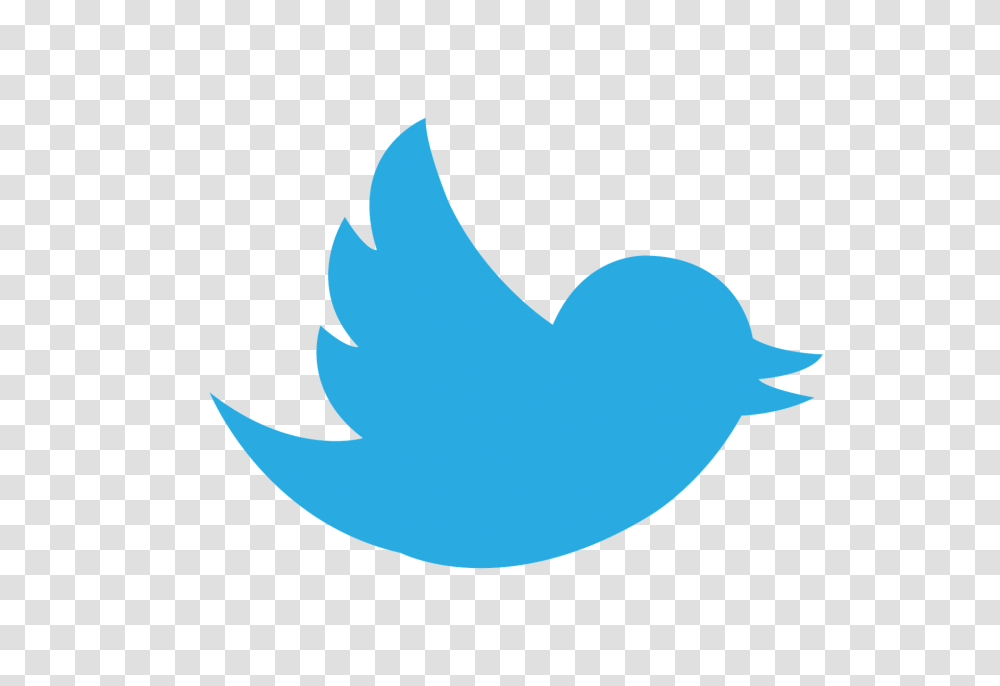 Logo Twitter Social Media Twitter Social Media Logo, Animal, Shark, Sea Life, Fish Transparent Png