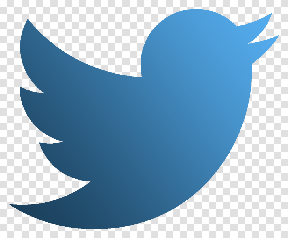 Logo Twitter Twitterbanner Twittericon Twitter, Bird, Animal, Seagull, Outdoors Transparent Png