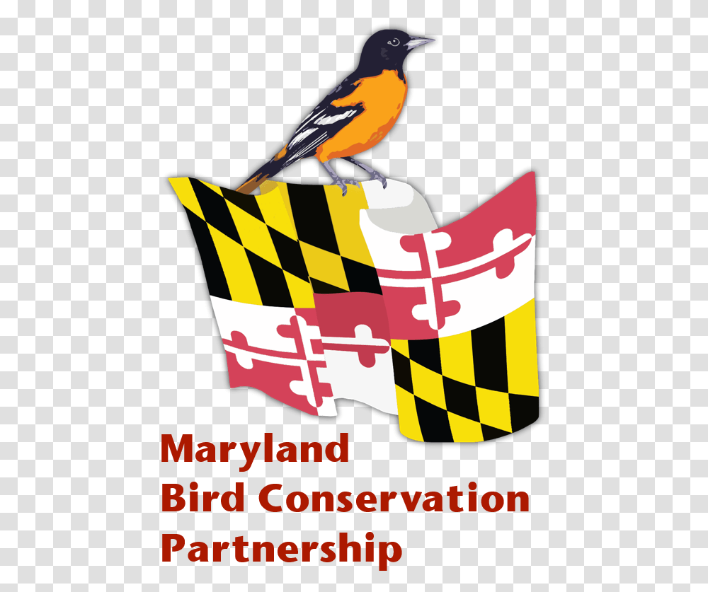 Logo - Maryland Bird Conservation Partnership Maryland State Flag, Animal, Poster, Advertisement, Finch Transparent Png