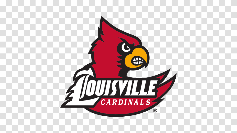 Logo University Of Louisville Cardinals Cardinal Bird Behind, Angry Birds, Trademark, Poster Transparent Png