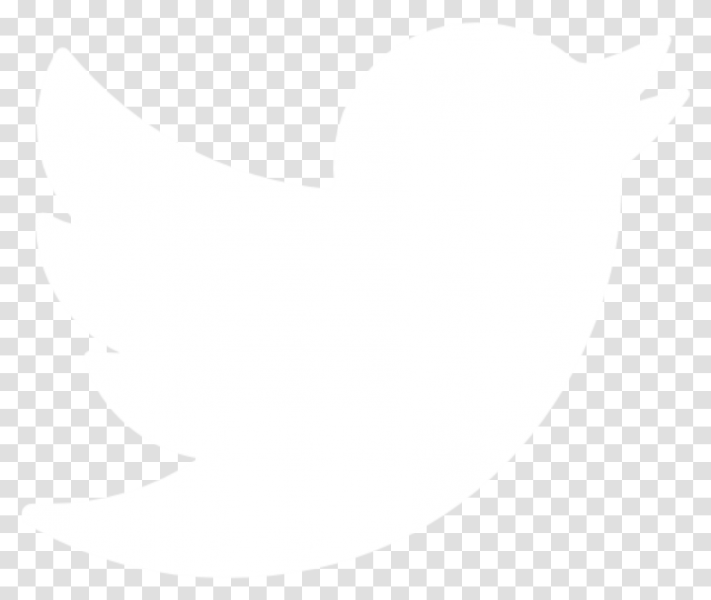 Logo White Image Twitter Logo White, Symbol, Animal, Label Transparent Png