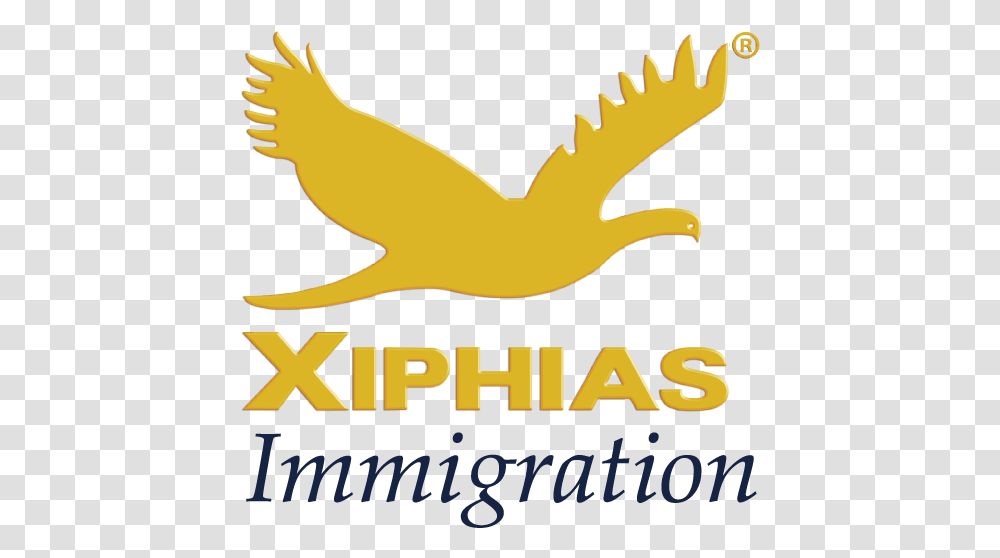 Logo Xiphias Immigration Pvt Ltd, Poster, Advertisement, Animal Transparent Png