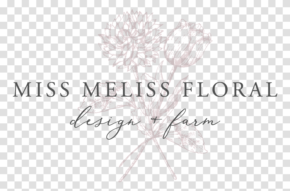 Logomeliss 01 Calligraphy, Plant, Spider, Flower Transparent Png