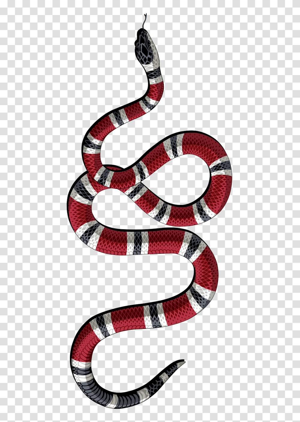 Logos In Wallpaper Iphone, King Snake, Reptile, Animal, Sandal Transparent Png