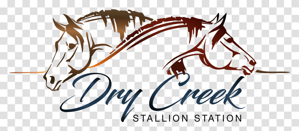 Logos Usa Stallionflyerscom Cheval Zen, Dragon, Text, Calligraphy, Handwriting Transparent Png