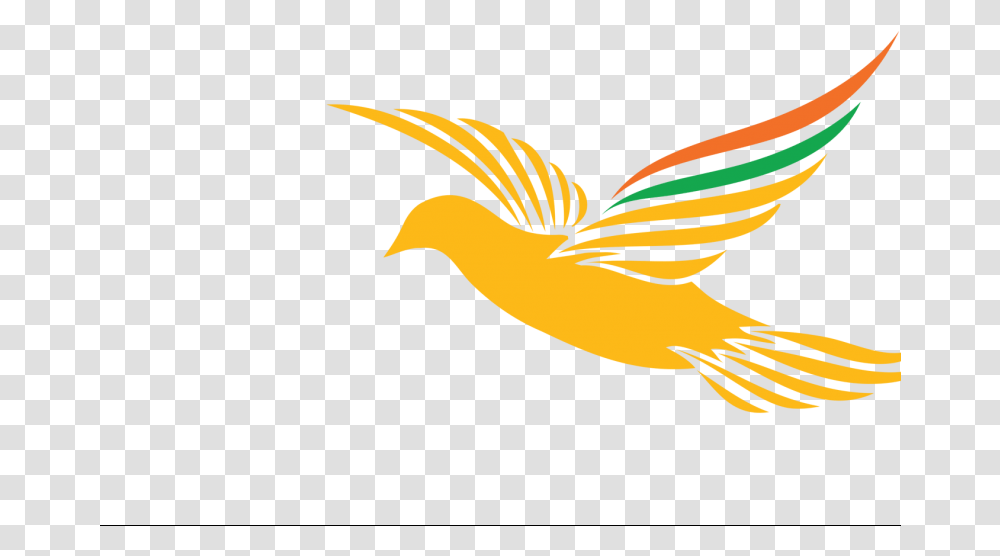 Lok Sabha, Bird, Animal, Flying Transparent Png