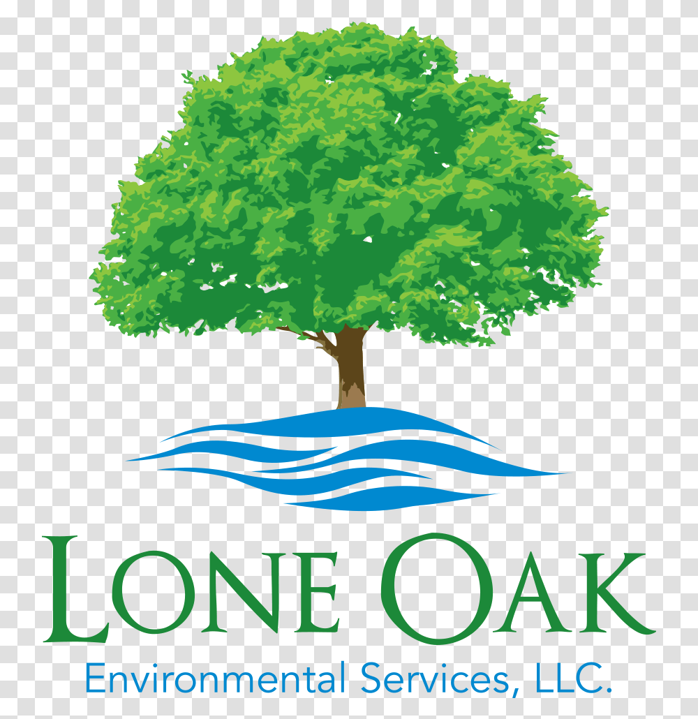 Lone Oak Environmental Services Captains Tree Service Llc, Plant, Sycamore, Poster, Advertisement Transparent Png