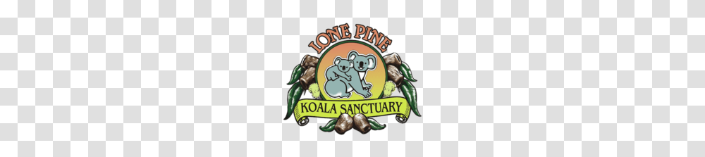 Lone Pine Koala Sanctuary, Mammal, Animal, Wildlife, Plant Transparent Png