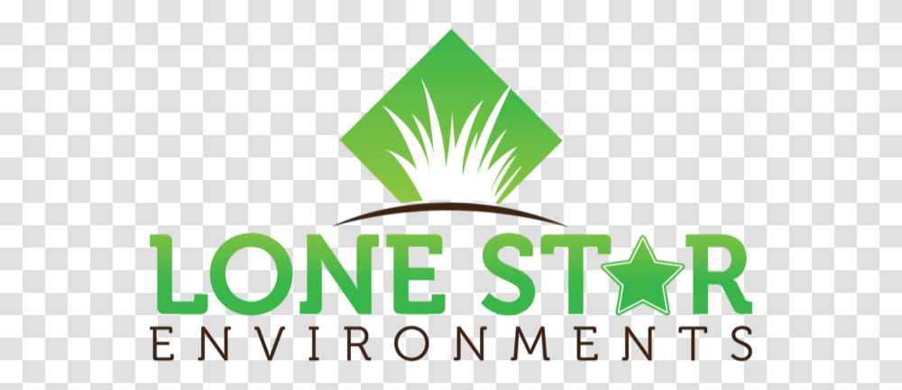 Lone Star Environments Logo Graphic Design, Light, Torch, Plant Transparent Png