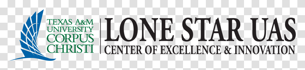 Lone Star Uas Center Of Excellence, Word, Alphabet, Label Transparent Png