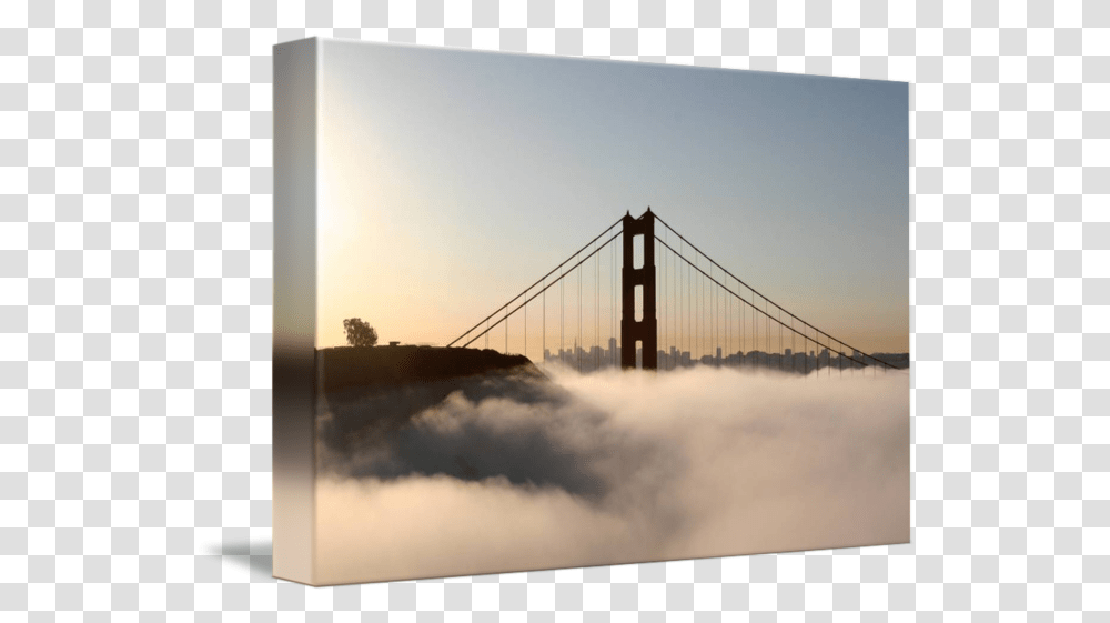 Lone Tree Golden Gate Bridge Morning Fog By Sf Bay Images Golden Gate Bridge, Nature, Outdoors, Weather, Mist Transparent Png