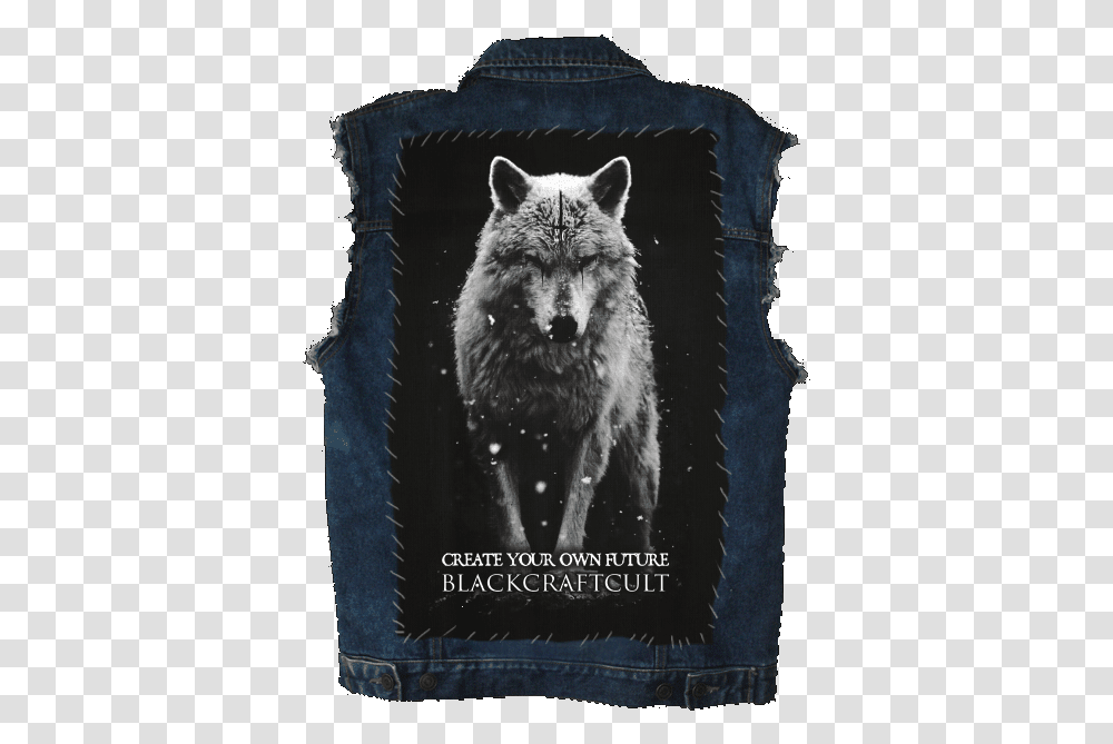 Lone Wolf Back Patch Baron Corbin Wolf T Shirt, Pillow, Cushion, Dog, Pet Transparent Png