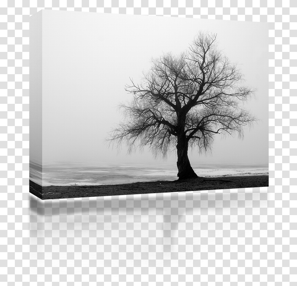 Lonely Winter Tree Hold On To The Love Not The Loss, Plant, Tree Trunk Transparent Png