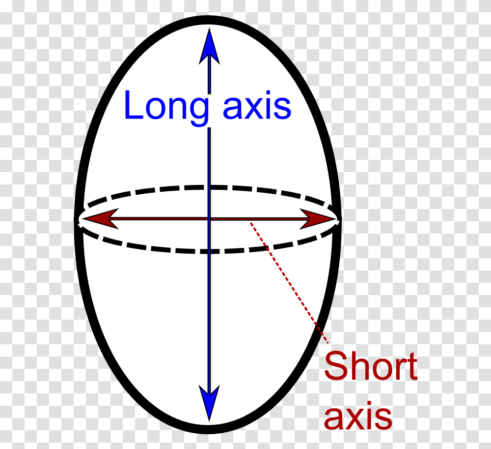 Long And Short Axis Circle, Plot, Diagram, Sphere, Number Transparent Png