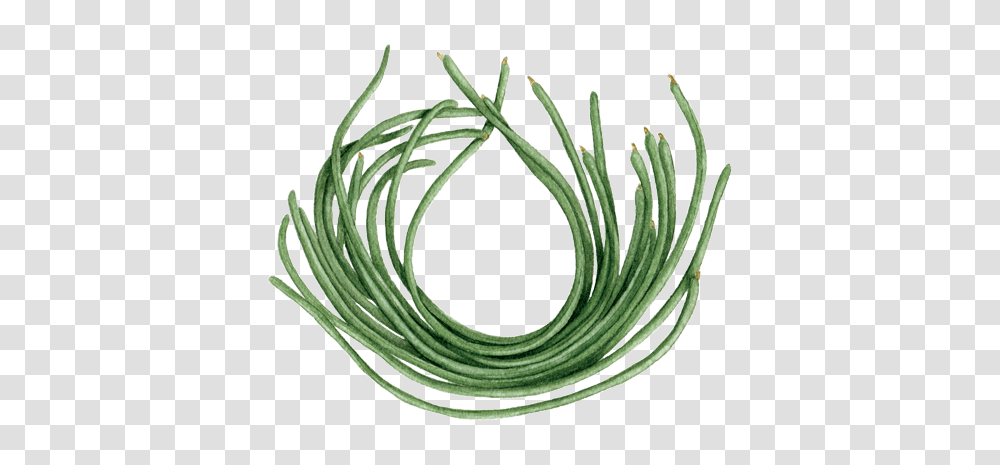 Long Bean Image, Plant, Produce, Food, Pineapple Transparent Png