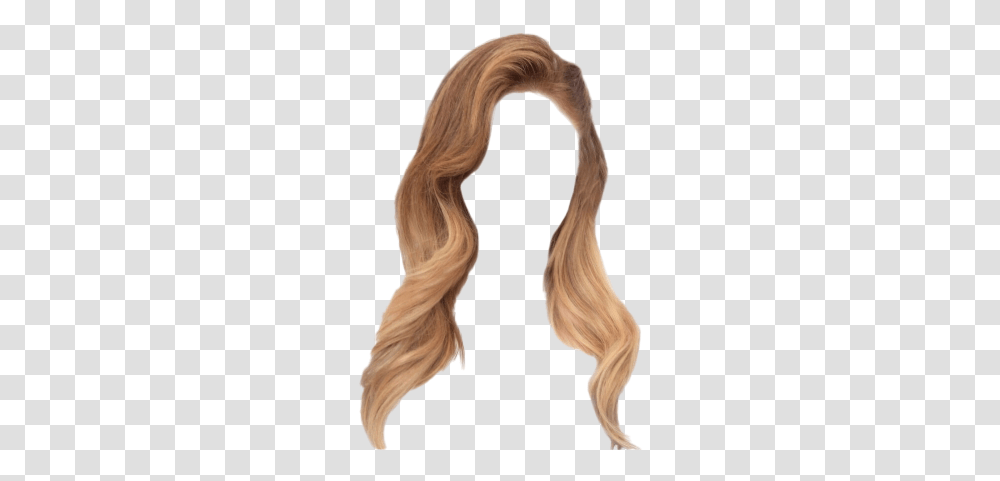 Long Blonde Hair Image Background Long Hair, Person, Mammal, Animal Transparent Png