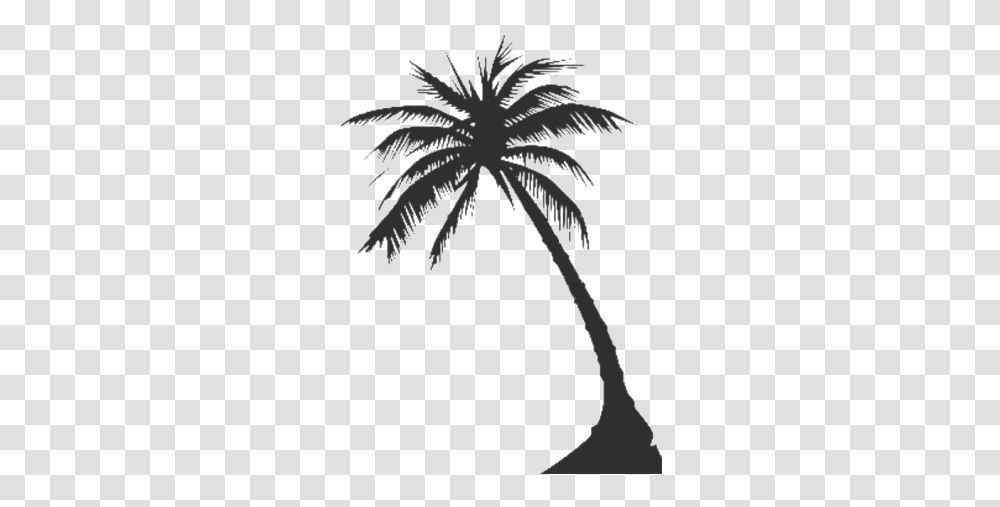 Long Coconut Tree Clipart All Vector Palm Tree Silhouette, Plant, Arecaceae, Leaf Transparent Png