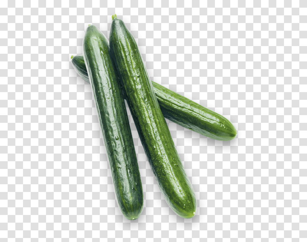 Long English Cucumbers Pickled Cucumber, Vegetable, Plant, Food, Insect Transparent Png