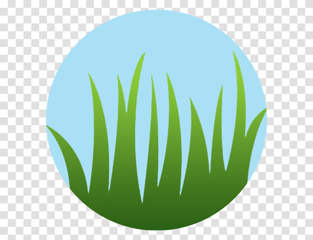 Long Grass, Egg, Food, Tennis Ball, Sport Transparent Png