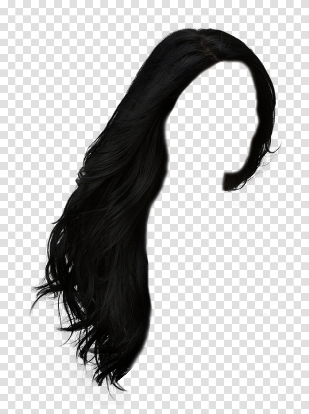Long Hair Black Hair, Person, Animal, Mammal Transparent Png